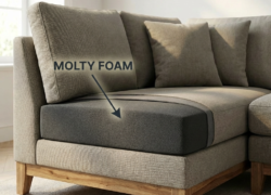 MOLTY_FOAM